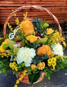 Sunshine in a Basket !